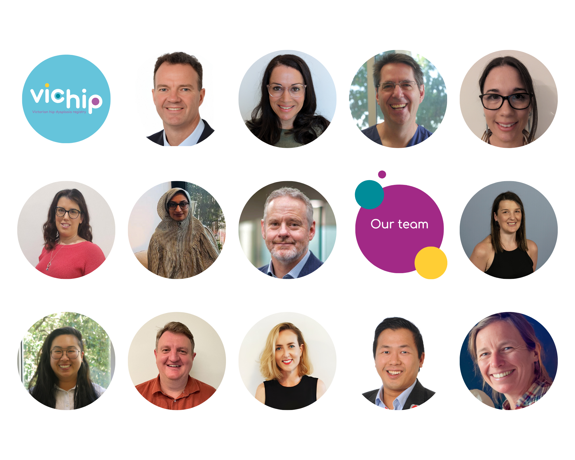 Image: VicHip team collage